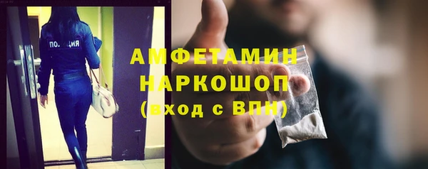 прущие грибы Алзамай