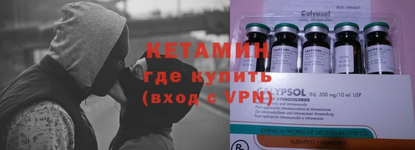 прущие грибы Алзамай