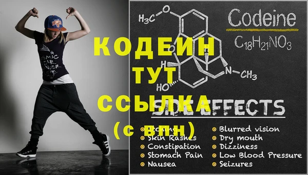 прущие грибы Алзамай