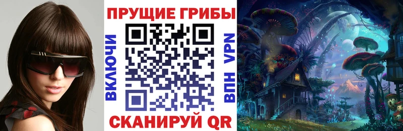 купить закладку дарк нет наркотические препараты Псилоцибиновые грибы прущие грибы Ясный